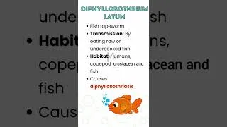 Thumbnail: Diphyllobothrium latum is a fish tapeworm 🐟 🧫 #medzukhruf #microbiología #micro #fishworm #science
