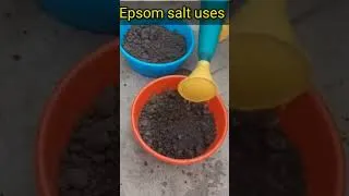 Thumbnail: epsom salt వల్ల మన garden lo ఇన్ని uses ఆ... #shorts #youtubeshorts #garden #fertilizer