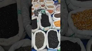 Thumbnail: Seeds కొనడానికి వచ్చి మొక్కల saplings కూడా తీసుకున్న... #shorts #youtubeshorts #plants #seeds