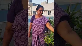 Thumbnail: Evening garden కీ వచ్చేసరికి Mallepoolu కనువిందు.... #shorts #youtubeshorts #plants