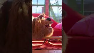 Thumbnail: Max Visits the Vet! | The Secret Life Of Pets 2 | Mega Moments