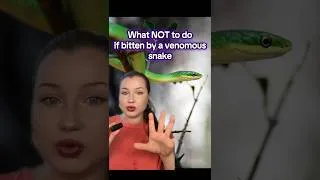 Thumbnail: What NOT to Do When a Venomous Snake Bites You (Biggest Myths)  #animal #snake #venomous #zoology