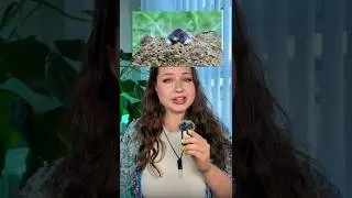 Thumbnail: Why Are Animals Venomous? #animals #venom #reptiles #science #zoology