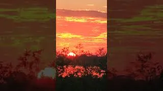 Thumbnail: A gorgeous sunset painted the sky in shades of pink and gold  #caprivi #namibia #travelvlog