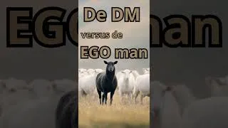 Thumbnail: De reis van de divine Masculine #tweelingzielen #tweelingvlammen #union  #tweelingzielenreis #liefde