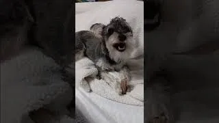 Thumbnail: Sophie Gets a Time Out!
