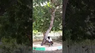 Thumbnail: Do something good for your Mind and Body Everyday, soon you will start feeling better.
