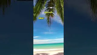 Thumbnail: ESCAPE YOUR COMFORT ZONE! #motivation #shorts
