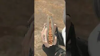 Thumbnail: It’s Big Fat Taco Tuesday!