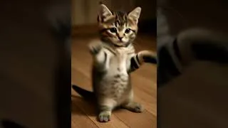 Thumbnail: Dancing Cats #cat #catshorts #pets #cute #kitty #shorts #viralshorts #cute