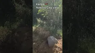 Thumbnail: Menengai crater forest view of Nakuru city Kenya 🇰🇪. #travel