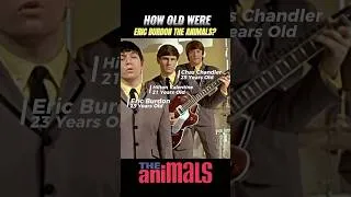 Thumbnail: They Were So Young But Sounded Like Old Souls #ericburdon #britishmusician #houseoftherisingsun