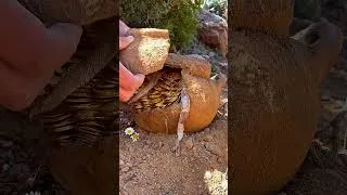 Thumbnail: We Didn’t Expect to Find THIS 😱   #treasurehunt #gold