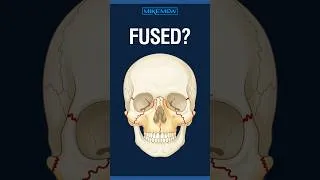 Thumbnail: Do the Bones in Your Face Fuse Shut?