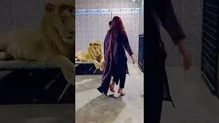Thumbnail: World famous lion mufasa with girl😍(mian saqib)