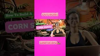 Thumbnail: Learn about everything you need to set up a corn snake enclosure‼️ #enclosure #cornsnake#snakes#