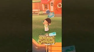 Thumbnail: animal crossing ☀️summer☀️ foods irl #acnh #animalcrossing