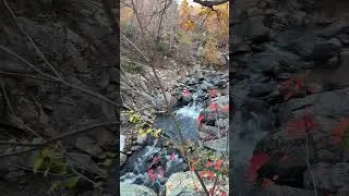Thumbnail: Soul Soothing Public Land #publiclands #river