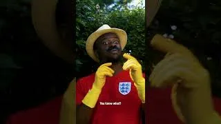 Thumbnail: England Fans after Mexico Win 🏴󠁧󠁢󠁥󠁮󠁧󠁿🇲🇽⚽️