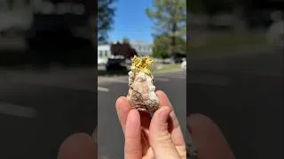 Thumbnail: What If This Means Gold?