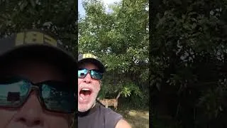 Thumbnail: Guns N' Roses Axle Rose Voice Imitation