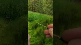Thumbnail: Close-up Painting Grass and Leaves  #art #satisfying #artlessons