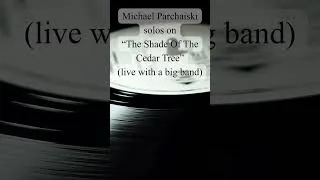 Thumbnail: The Shade Of The Cedar Tree bass solo live #michaelparchaiski #basssolo #jazzbass