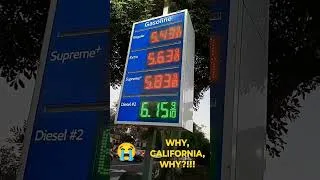 Thumbnail: ...and this is the CHEAP Stuff! MAKE IT STOP! #sandiego #california #california #short #shorts