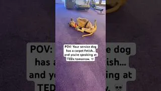 Thumbnail: My Service Dog Has a Carpet Fetish… and We’re Speaking at TEDx Tomorrow | #funnydogvideos