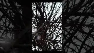 Thumbnail: My Husband Made a Movie (Based on Real Events) #shorts #movie #winter
