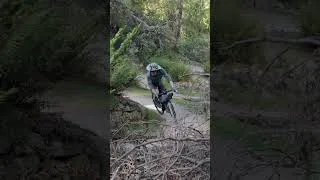Thumbnail: Gravel bike action on single track