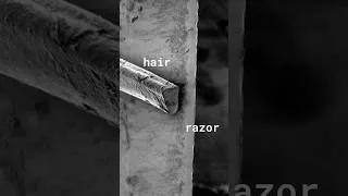 Thumbnail: My scanning electron microscope #science #technology #tech #microscope