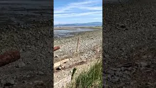 Thumbnail: Beach Walk In Parksville!🏖️🌞 🏢#citytour #parksville #roadtrip #beach #shorts  #midliferising