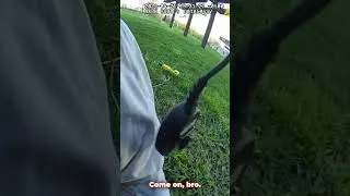 Thumbnail: They Didn't Know He Was Armed