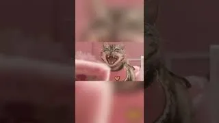 Thumbnail: 穿的越粉 喵喵越狠