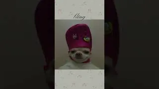 Thumbnail: ♥︎  . . . . . . #soft #aesthetic #viralvideo  credits to @n0bika on instagram ★