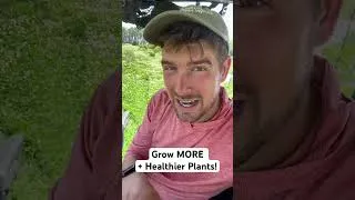 Thumbnail: Do This ONE THING For Healthier and Happier Plants #gardening #garden #gardeningtips