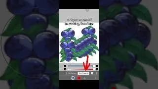 Thumbnail: How to make a COSTUM brush in IBISPAINT X (new update ) 🌱✨️.