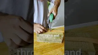 Thumbnail: What is this knife for?