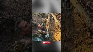 Thumbnail: Building a House Over a Stream #survival #solobushcaft #bushcaft