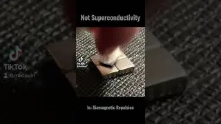 Thumbnail: Diamagnetic Levitation at Room Temperature Not Superconductivity. More than Superconductors Levitate