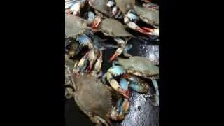 Thumbnail: Trolling Crabs at the Market