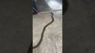 Thumbnail: Aja company ni ma Anaconda vatiyo | 2026