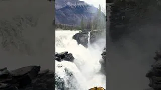 Thumbnail: Athabasca Falls - A must-see in Canada #Icefieldsparkway #jaspertobanff #shorts