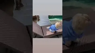 Thumbnail: Vacation time for Mimi Shih tzu | Pawcation