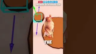 Thumbnail: Tutorial how to make a Rilakkuma in Adopt me Part 1 #adoptme #adoptmeroblox #adoptmepets