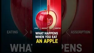 Thumbnail: What really happens inside your body when you eat an apple? 🍎