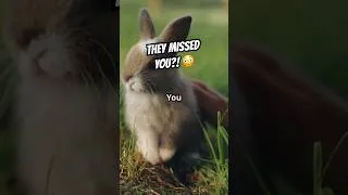 Thumbnail: 🏠🐇 Why Your Rabbit Gets Excited When You Come Home