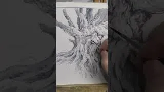 Thumbnail: The Forest is Old and Full of Memory