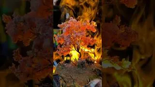 Thumbnail: The process of creating a sakura tree from scratch for the game Shadow of the Road